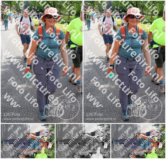 Evenement foto: Nijmeegse Vierdaagse 1115