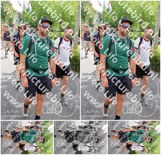 Evenement foto: Nijmeegse Vierdaagse 1115
