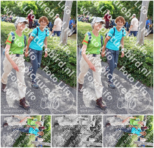 Evenement foto: Nijmeegse Vierdaagse 1115