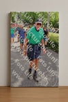 Evenement foto: Nijmeegse Vierdaagse 1115