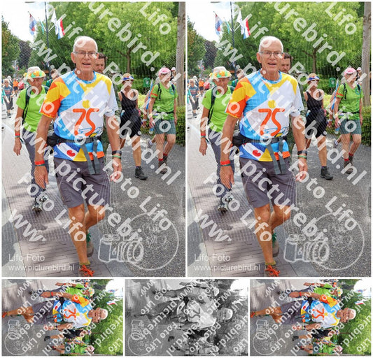 Evenement foto: Nijmeegse Vierdaagse 1115