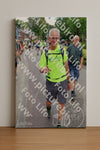 Evenement foto: Nijmeegse Vierdaagse 1115