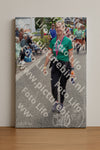 Evenement foto: Nijmeegse Vierdaagse 1114