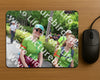 Evenement foto: Nijmeegse Vierdaagse 1114
