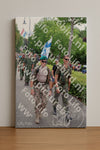 Evenement foto: Nijmeegse Vierdaagse 1114