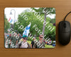 Evenement foto: Nijmeegse Vierdaagse 1114
