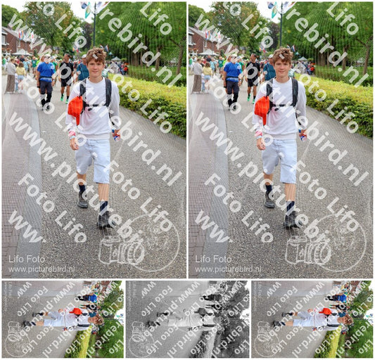 Evenement foto: Nijmeegse Vierdaagse 1114