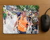 Evenement foto: Nijmeegse Vierdaagse 1114