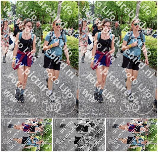 Evenement foto: Nijmeegse Vierdaagse 1114