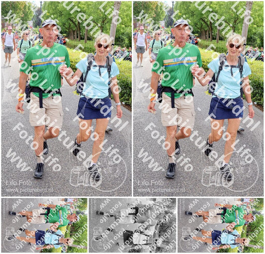 Evenement foto: Nijmeegse Vierdaagse 1114