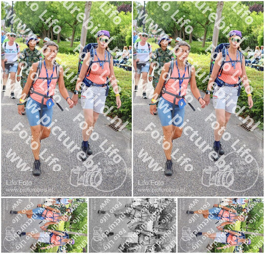 Evenement foto: Nijmeegse Vierdaagse 1114