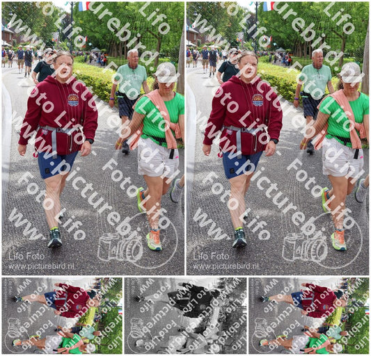 Evenement foto: Nijmeegse Vierdaagse 1114