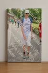 Evenement foto: Nijmeegse Vierdaagse 1114