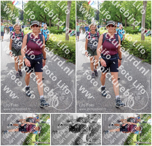 Evenement foto: Nijmeegse Vierdaagse 1114