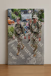 Evenement foto: Nijmeegse Vierdaagse 1114