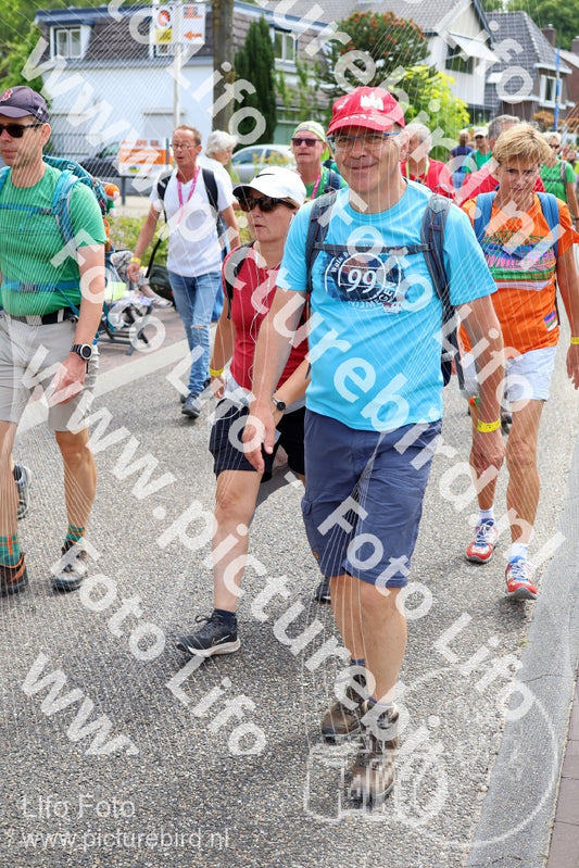 Evenement foto: Nijmeegse Vierdaagse 1114