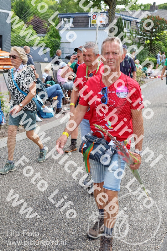 Evenement foto: Nijmeegse Vierdaagse 1114