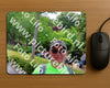 Evenement foto: Nijmeegse Vierdaagse 1114