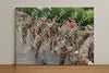 Evenement foto: Nijmeegse Vierdaagse 1113