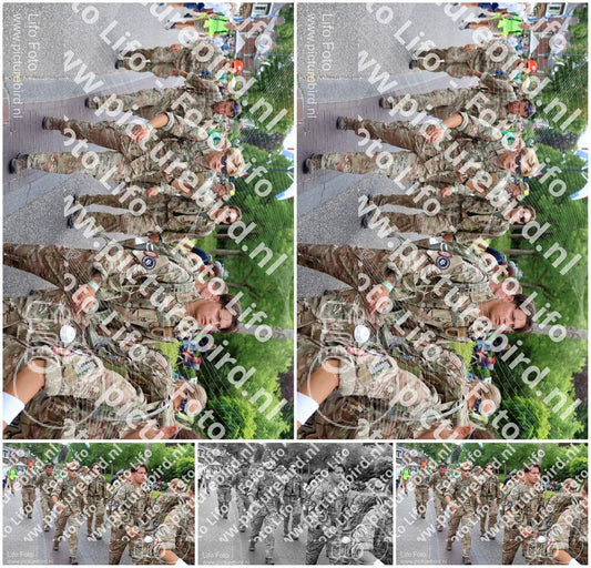 Evenement foto: Nijmeegse Vierdaagse 1113