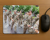 Evenement foto: Nijmeegse Vierdaagse 1113