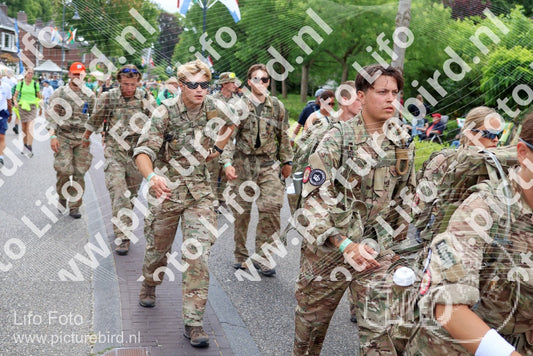 Evenement foto: Nijmeegse Vierdaagse 1113