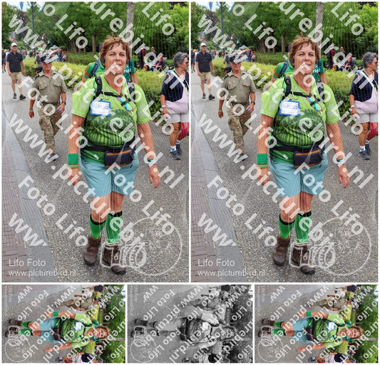 Evenement foto: Nijmeegse Vierdaagse 1113