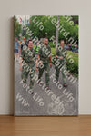Evenement foto: Nijmeegse Vierdaagse 1113