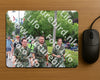 Evenement foto: Nijmeegse Vierdaagse 1113