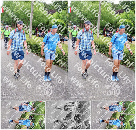 Evenement foto: Nijmeegse Vierdaagse 1113