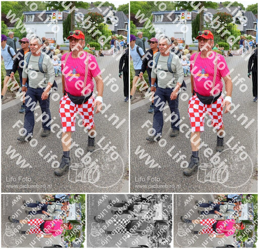 Evenement foto: Nijmeegse Vierdaagse 1113