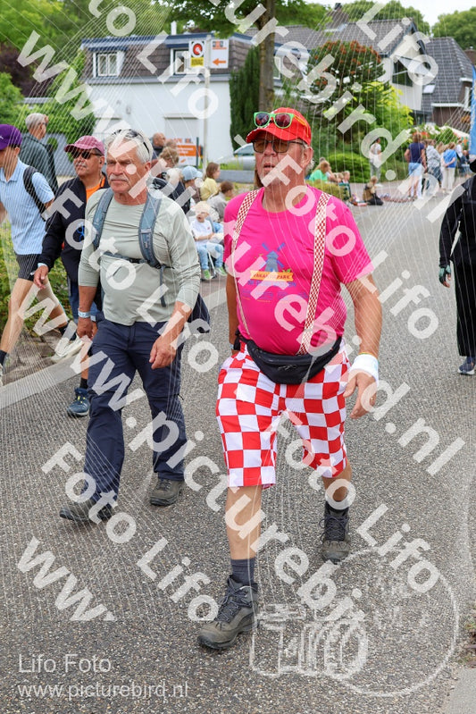 Evenement foto: Nijmeegse Vierdaagse 1113