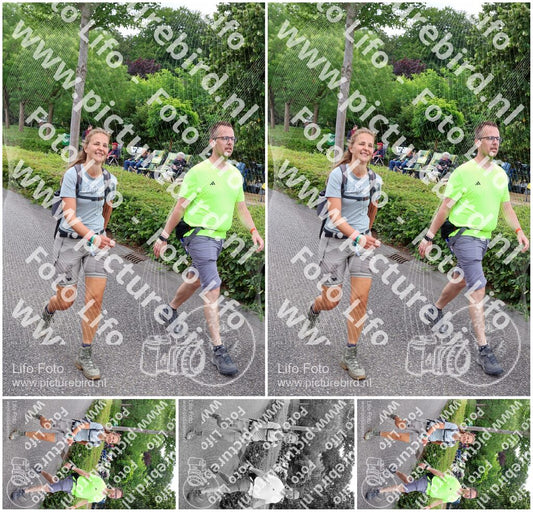 Evenement foto: Nijmeegse Vierdaagse 1113