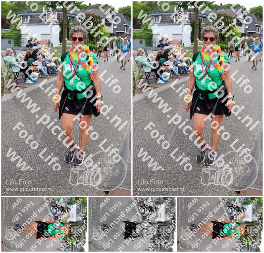 Evenement foto: Nijmeegse Vierdaagse 1113