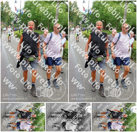 Evenement foto: Nijmeegse Vierdaagse 1113
