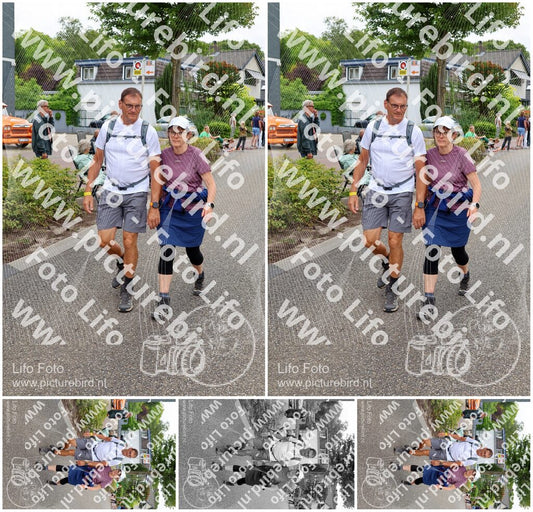 Evenement foto: Nijmeegse Vierdaagse 1113