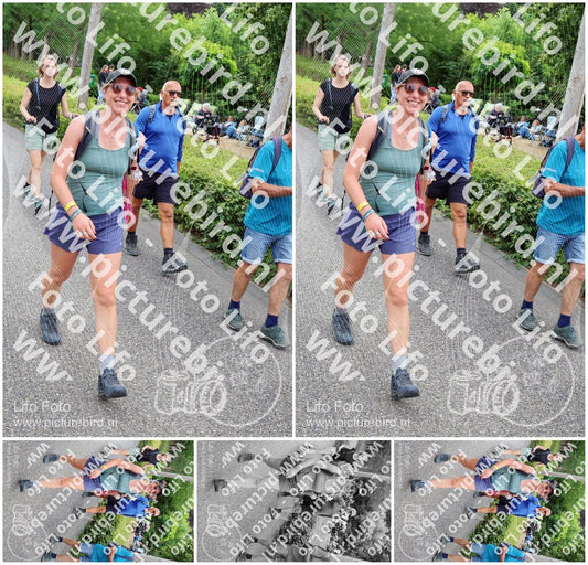 Evenement foto: Nijmeegse Vierdaagse 1113