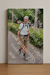 Evenement foto: Nijmeegse Vierdaagse 1113