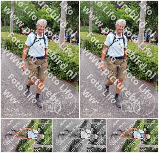 Evenement foto: Nijmeegse Vierdaagse 1113