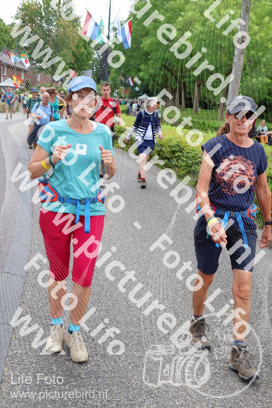 Evenement foto: Nijmeegse Vierdaagse 1113