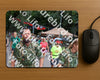 Evenement foto: Nijmeegse Vierdaagse 1112