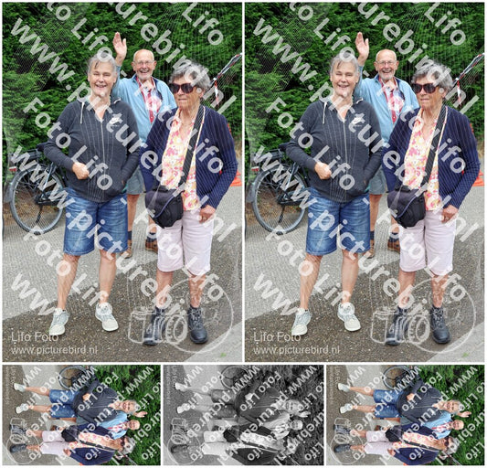 Evenement foto: Nijmeegse Vierdaagse 1112