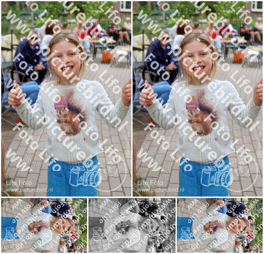Evenement foto: Nijmeegse Vierdaagse 1112