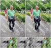 Evenement foto: Nijmeegse Vierdaagse 1112