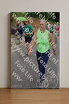 Evenement foto: Nijmeegse Vierdaagse 1111