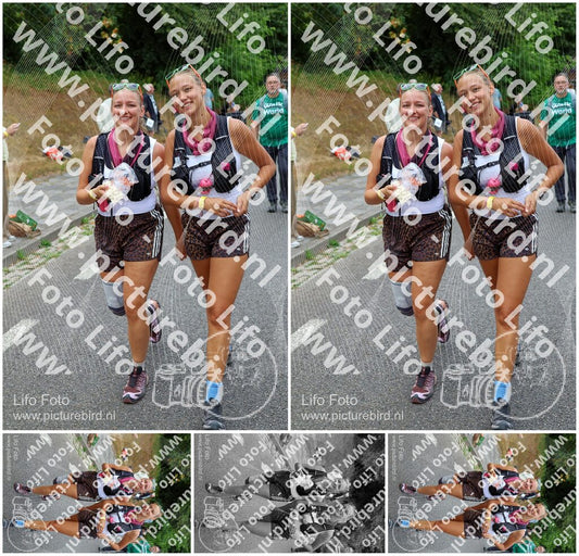 Evenement foto: Nijmeegse Vierdaagse 1111