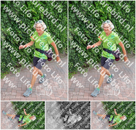 Evenement foto: Nijmeegse Vierdaagse 1110