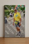 Evenement foto: Nijmeegse Vierdaagse 1110