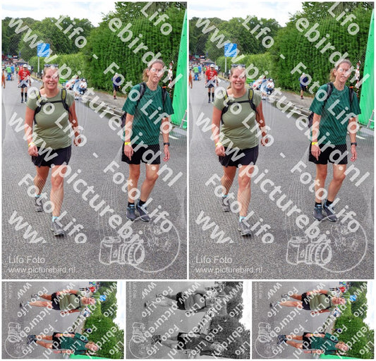 Evenement foto: Nijmeegse Vierdaagse 1110