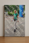 Evenement foto: Nijmeegse Vierdaagse 1109